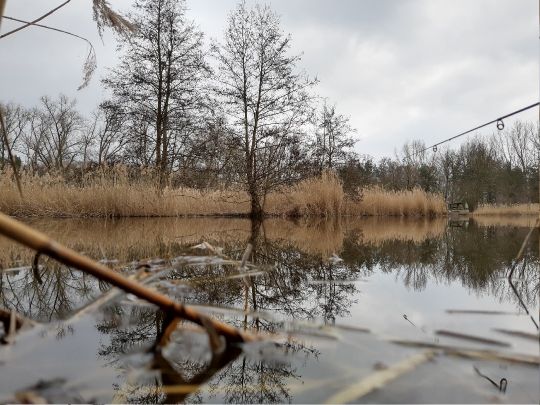 Bucher Teiche (Berlin)-4