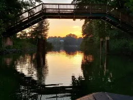 Schwarzer See (Flecken Zechlin)