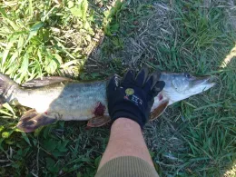 Kühlwasserbecken Holcim (Rethwisch)