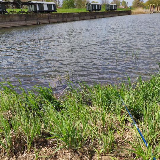 Oder (Groß Neuendorf)-2