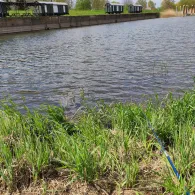 Oder (Groß Neuendorf)-2