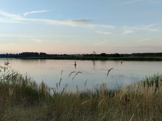 Oder (Groß Neuendorf)
