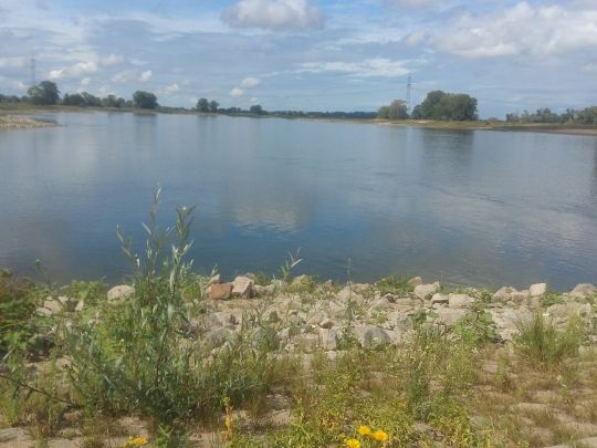 Schönberger Haken u. Baggerloch-1