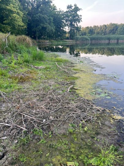 Große Bräge (Wörlitz)-1