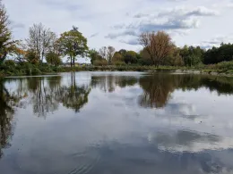 Brander Weiher (Eckental)