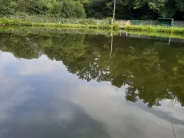 Angelteiche Quellengrund