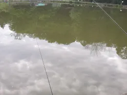 Angelteiche Quellengrund-2