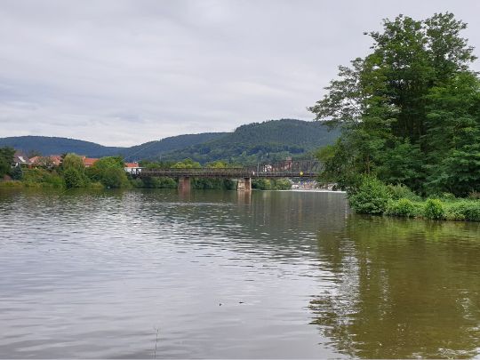 Main (Miltenberg)-3