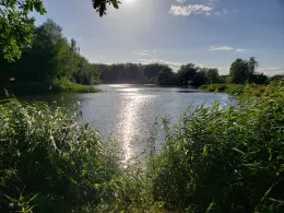 Bade- und Südteich (Brietz)-2