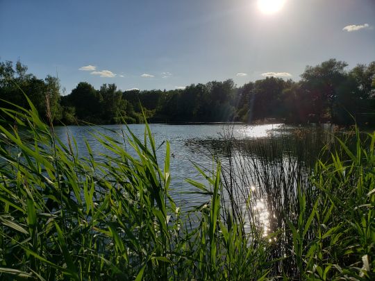 Bade- und Südteich (Brietz)-3