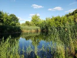 Bade- und Südteich (Brietz)-4