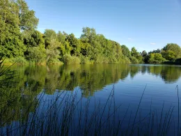 Bade- und Südteich (Brietz)-1