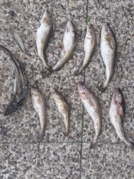 Ostsee (Putgarten)-2