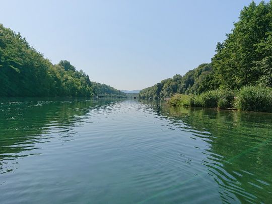 Angeln in Hohentengen am Hochrhein