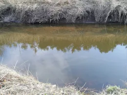 Mühlenbach (Emsdetten)