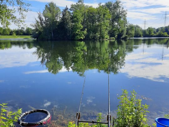 Schützensee (Elchingen) angeln