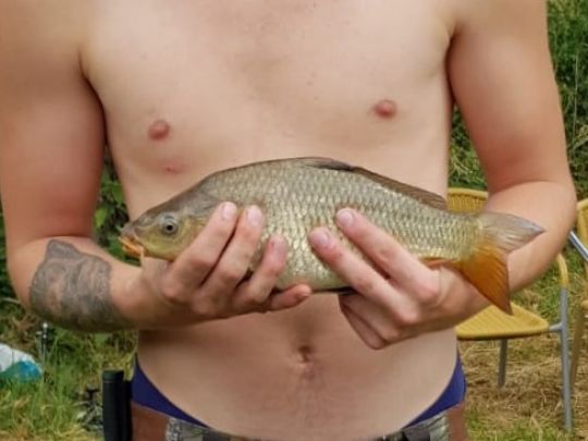 Main (Marktheidenfeld)-3