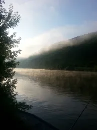 Main (Marktheidenfeld)