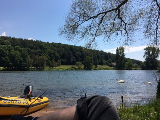 Main (Marktheidenfeld)-1