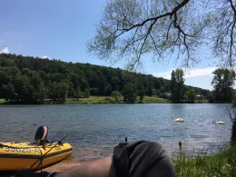 Main (Marktheidenfeld)-1