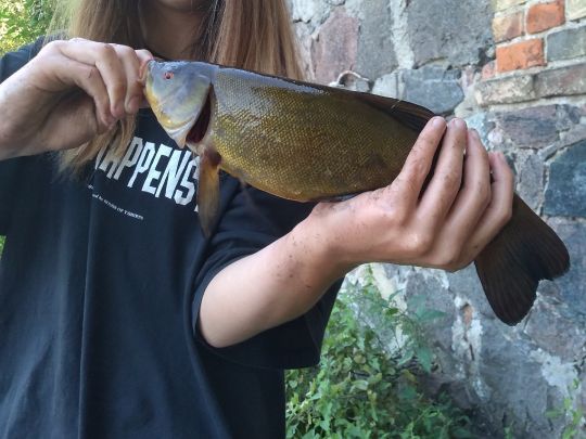 Dorfteich Beiersdorf