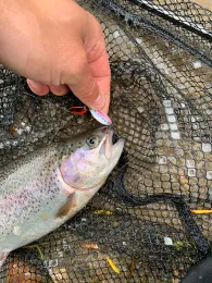 Angelteiche Deinster Mühle