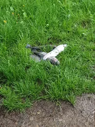 Angelteiche Deinster Mühle-3