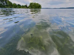 Großer Plöner See-2