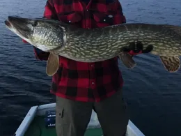 Großer Plöner See-3