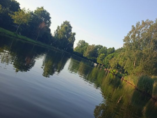 Angelteich Märtensmühle angeln