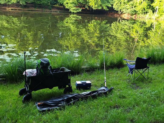 Thanninger Weiher angeln