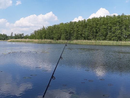 Großer Krebssee (Hohenwutzen) angeln