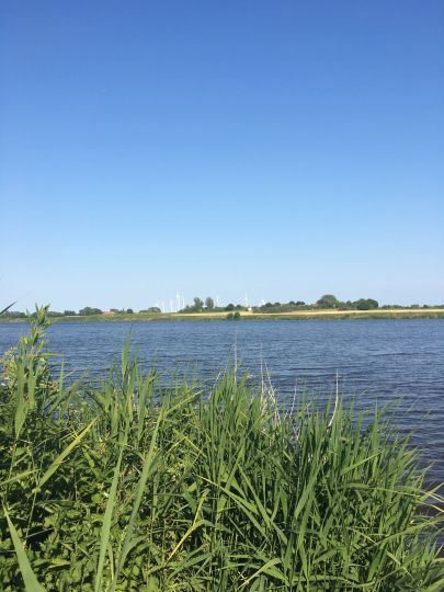 Knockster Tief (Schöpfwerk Knock)-2