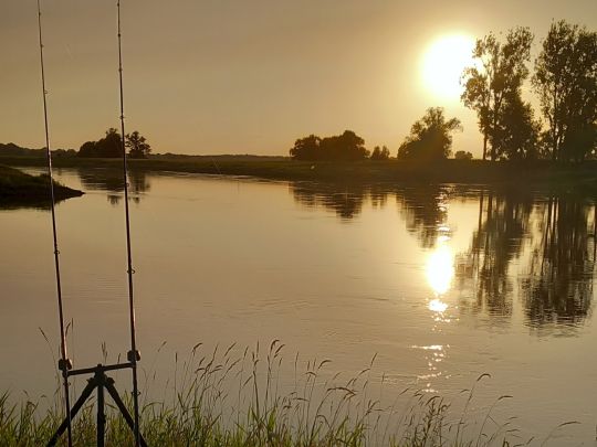 Elbe (Zahna-Elster)-3