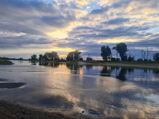 Elbe (Zahna-Elster)-1