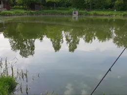 Vereinsgewässer AV Wörrstadt