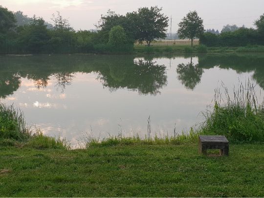 Vereinsgewässer AV Wörrstadt-0