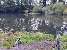 Main (Schwarzach am Main)