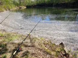 Steinbruch (Ritscher)-2