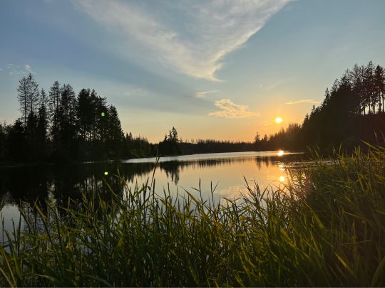 Prinzenteich (Clausthal-Zellerfeld)-2