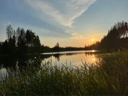 Prinzenteich (Clausthal-Zellerfeld)-2