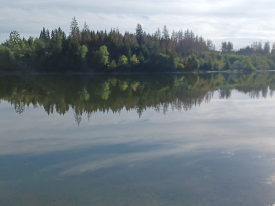 Prinzenteich (Clausthal-Zellerfeld)-1