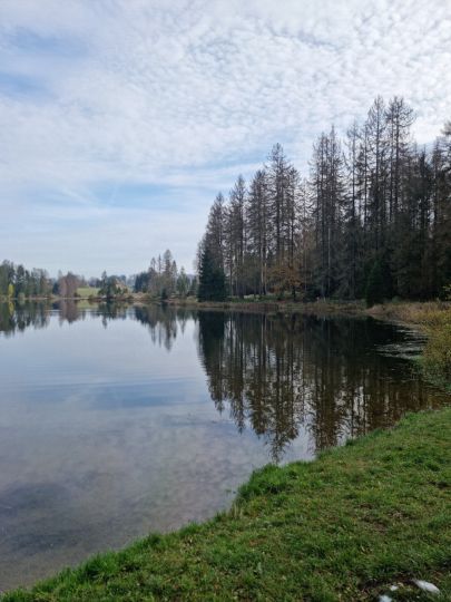 Prinzenteich (Clausthal-Zellerfeld)-3