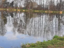 Forellenteiche Waldmark-1