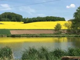 Forellenteiche Waldmark-2