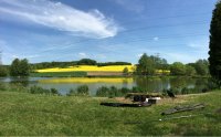 Forellenteiche Waldmark angeln