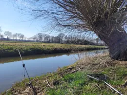 Ems (Rheda-Wiedenbrück)-3