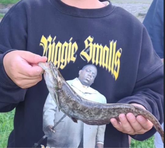 Oder-Spree-Kanal (Eisenhüttenstadt)-3