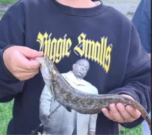 Oder-Spree-Kanal (Eisenhüttenstadt)-3