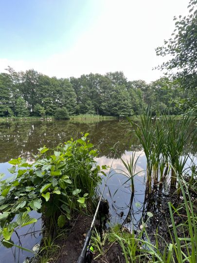 Selchower See (Mahlow)-3